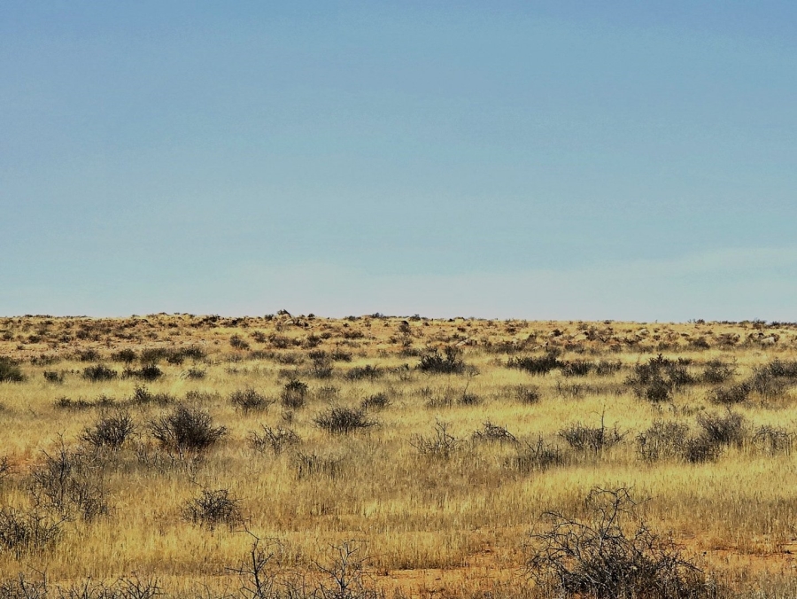 Commercial Property for Sale in Kakamas Rural Northern Cape